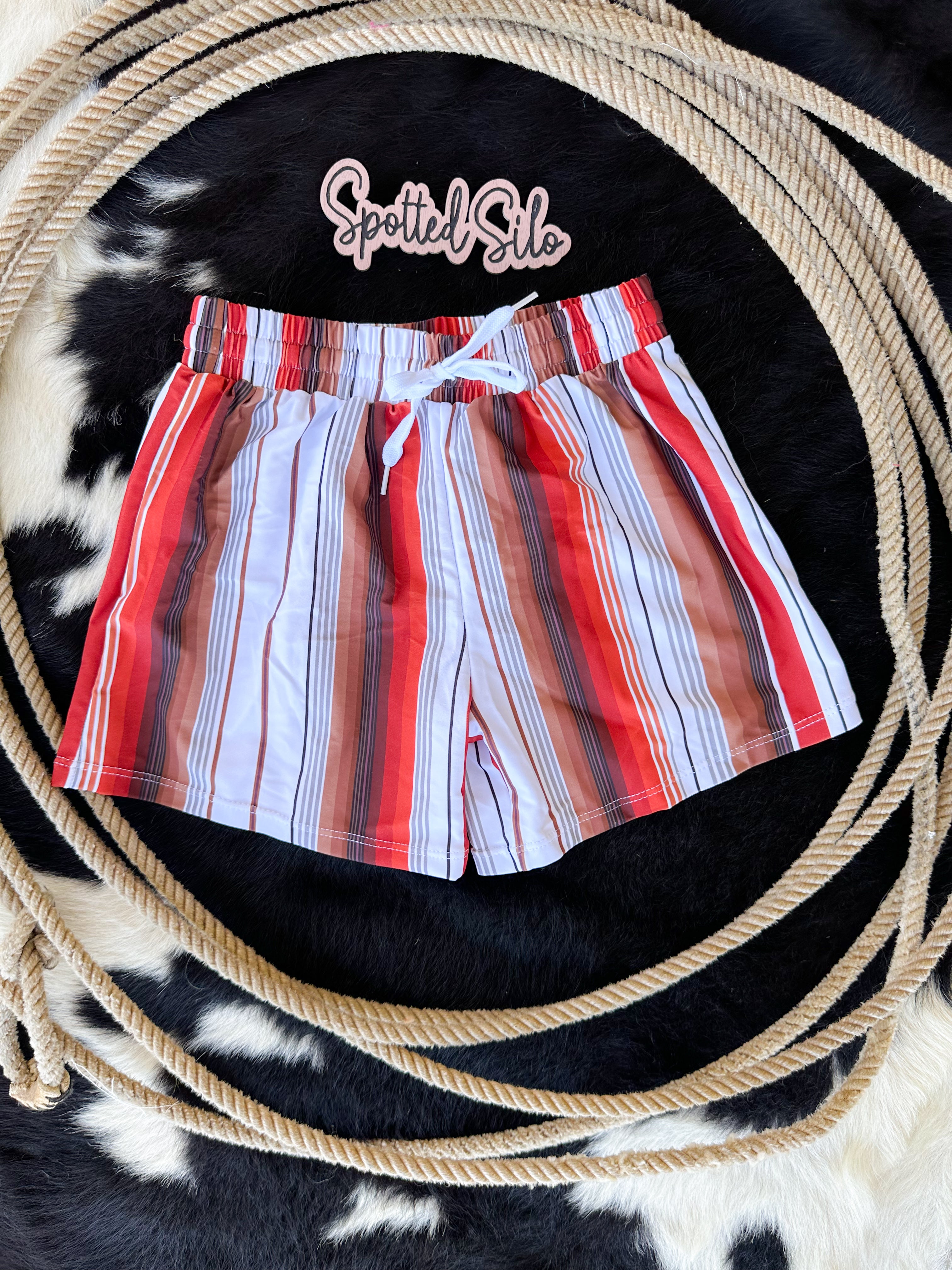 Boys Saddle Stripes Western Swim Trunk