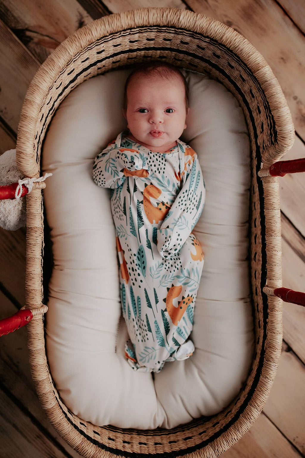 Tiny Roars Newborn Gown & Hat