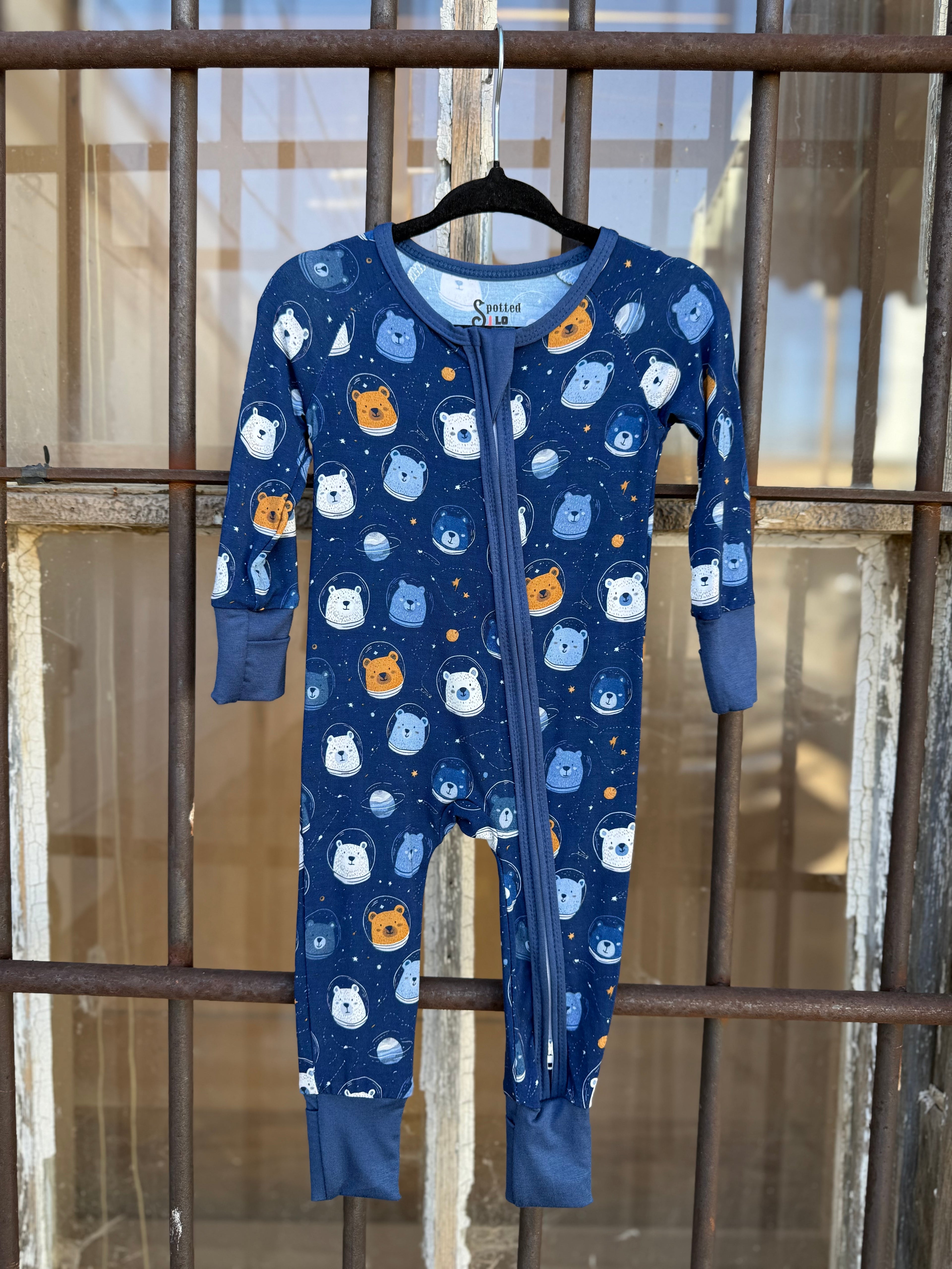 Bear-y Spacey Zippy
