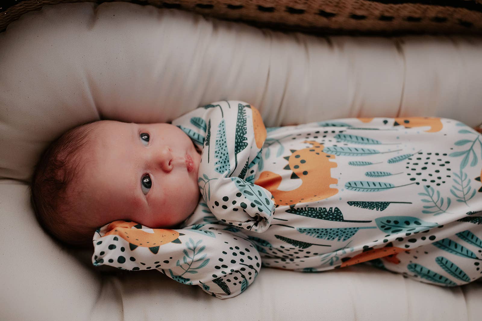Tiny Roars Newborn Gown & Hat