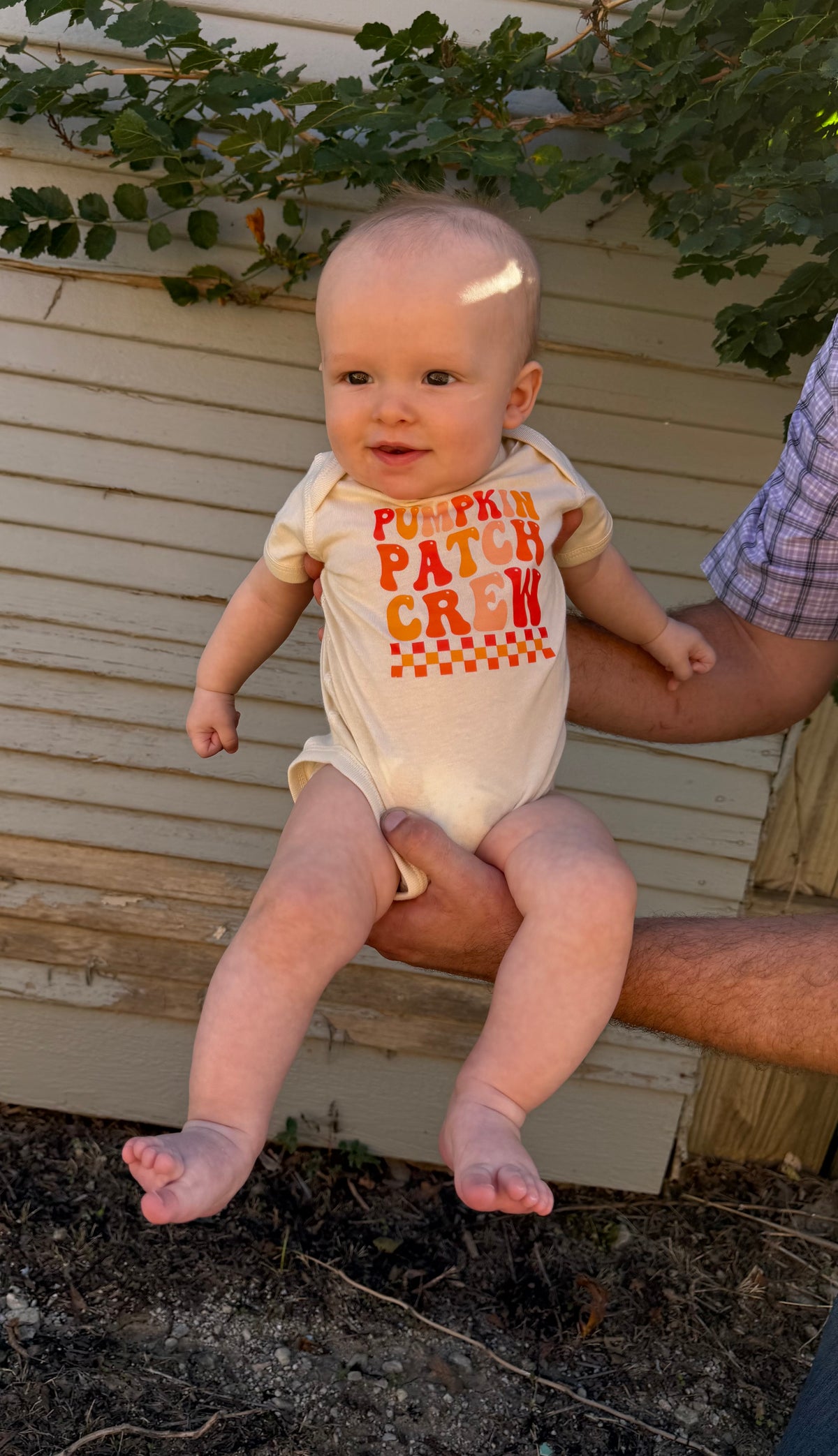 Pumpkin Patch Crew Tee