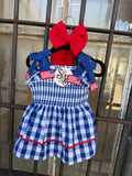 Little Firecracker Gingham Set